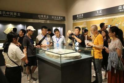 朝陽鳥化石國家地質(zhì)公園 在“古生物的搖籃”探索史前世界